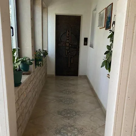 Babaja - With Terrace Ap2 Duće